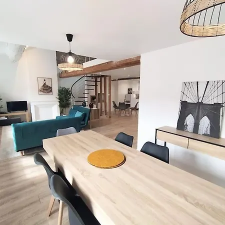 Duplex Macon - Laurent Sur Saone * Saint-Laurent-sur-Saone